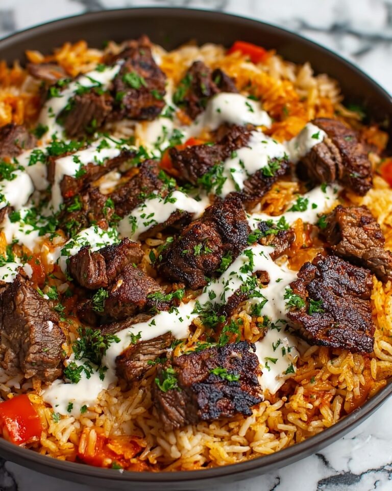 Steak Queso Rice Recipe